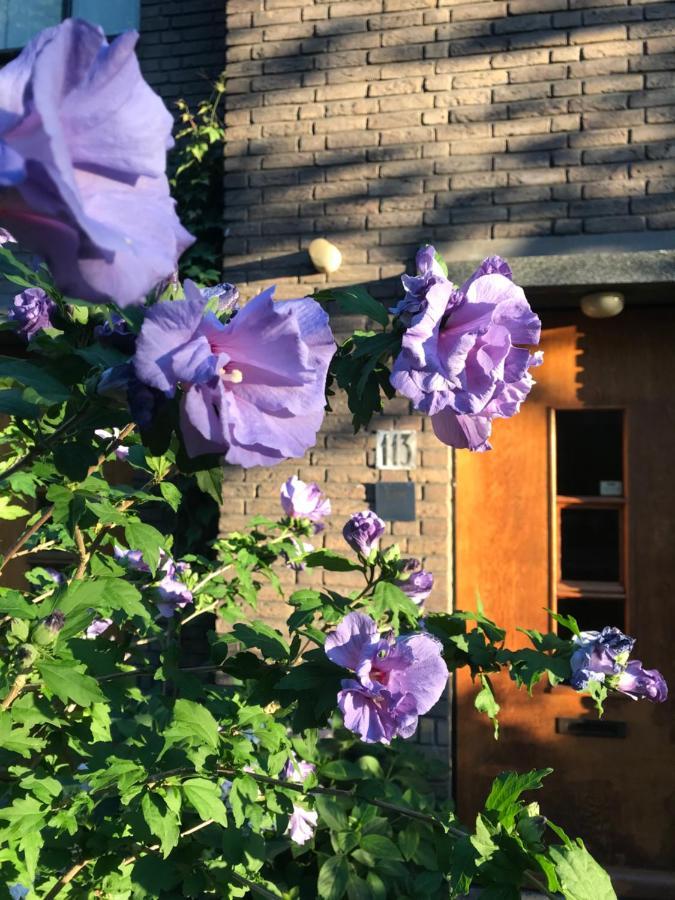 Eikenburg B&B Eindhoven Exteriör bild
