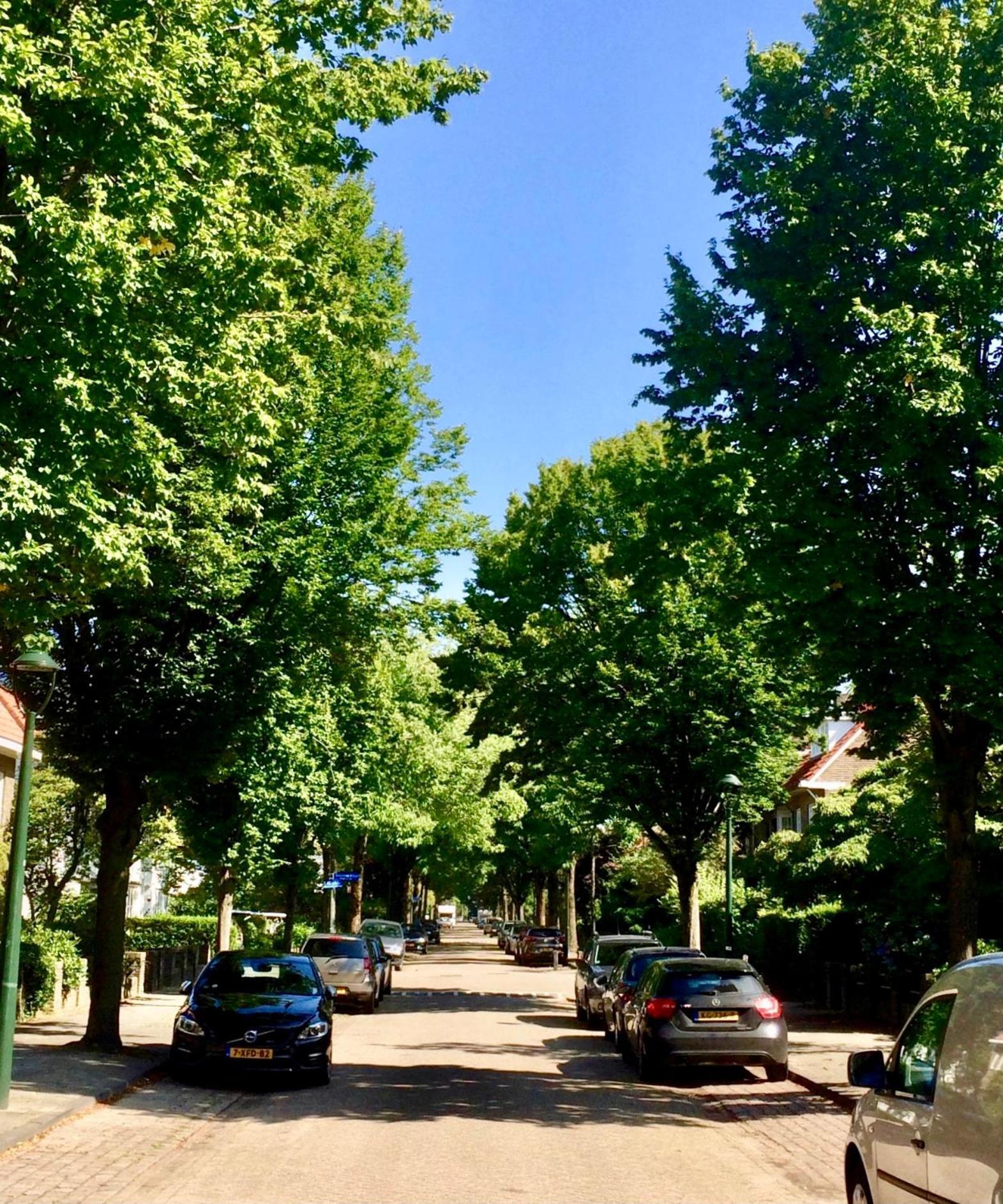 Eikenburg B&B Eindhoven Exteriör bild